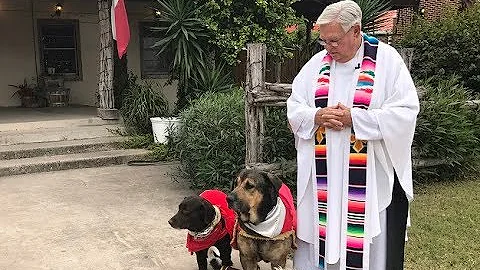 The Texas Bucket List- The Priest with Pups in Mission