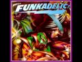 Funkadelic-Connections And Disconnections