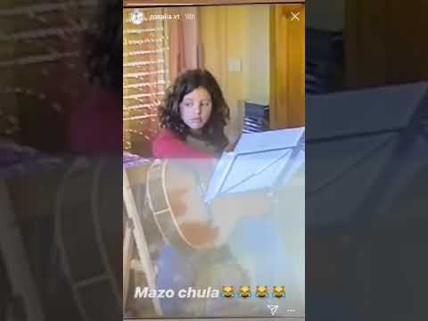 EL VÍDEO MÁS ADORABLE DE ROSALÍA