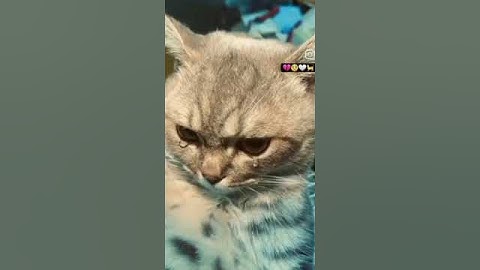 بسم الله ما شاء الله تبارك الله صوت خاشع يريح القلب و الأعصاب و تلاوة خاشعة رائعة@مجيدوchanel