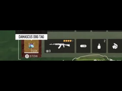 COD DMZ - NEW DAMASCUS Dog Tags! 50k Each! - Season 2 Update - New Operator Dog  Tags - YouTube