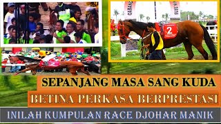 INILAH KUMPULAN RACE DJOHARMANIK | SEPANJANG MASA SANG KUDA BETINA PERKASA BERPRESTASI