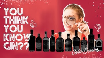 All about GIN! Everything you need to know - history, the different styles and what they taste like