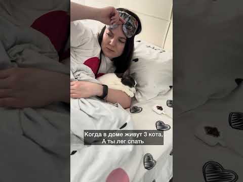 Стоит только лечь спать и у нас тыгыдык 😃 а у вас как ? #cat #кот