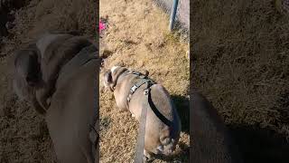 Winter Solstice Walk