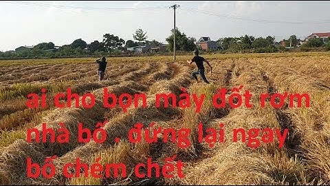 Troll Trẻ Trâu  || Trẻ Trâu đốt hết rơm ở ruộng lúa và tý bị ăn dao 🤣🤣 Cái kết cười ỉa