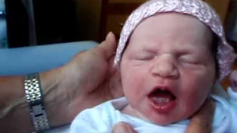 DAWN ELIZABETH BERUBE