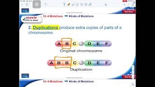 Unit 3.2 Mutations Guided Notes