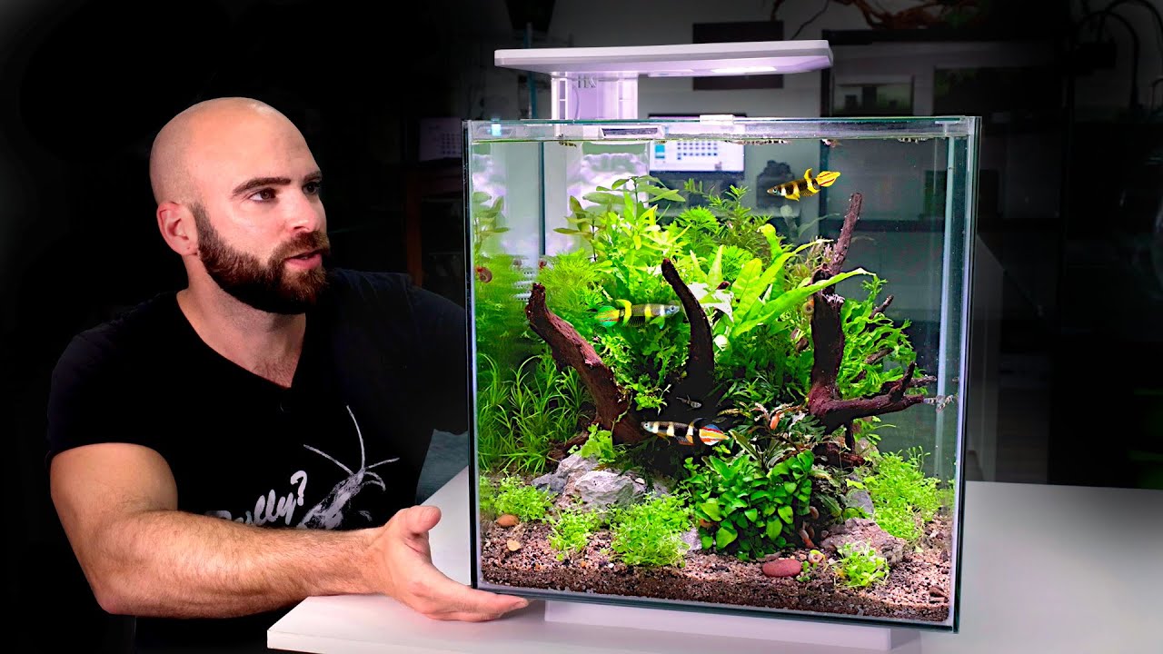 Superfish Qubiq Pro 30 LED Aquarium unboxing fish tank - YouTube