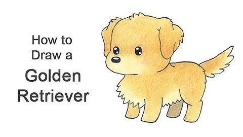 How to draw a Golden Retriever (Cartoon)