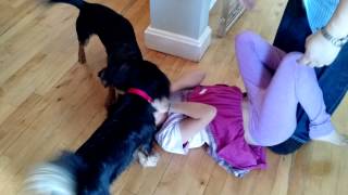 Clem Takes A Licking