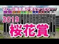 桜花賞2019　競馬シミュレーション by StarHorsePocket(SEGA)