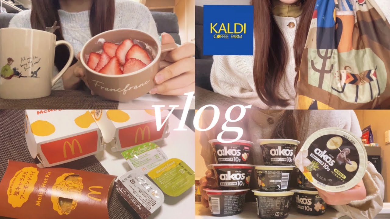 【vlog】好きなものには常に全力❤️‍🔥|KALDI購入品,簡単自炊,サムゲタン🐓,ヨーグルト🥣