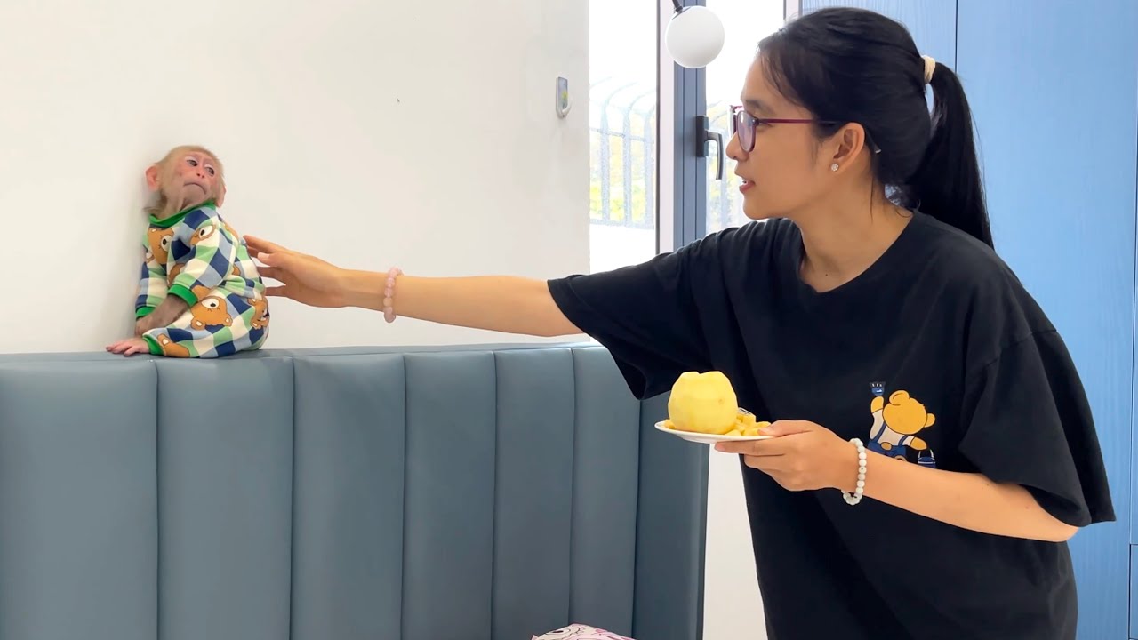 Too Cute to Handle! CUBIS’ Adorable Reaction to His New Babysitter 🥰