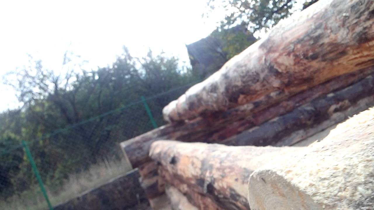 ⁣Чистовая чистка чаши дикого сруба