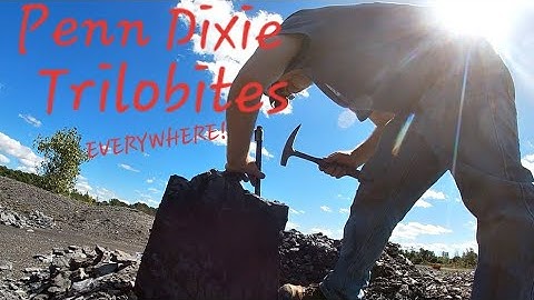 Penn Dixie fossil park. Hunting Trilobites EVERYWHERE!