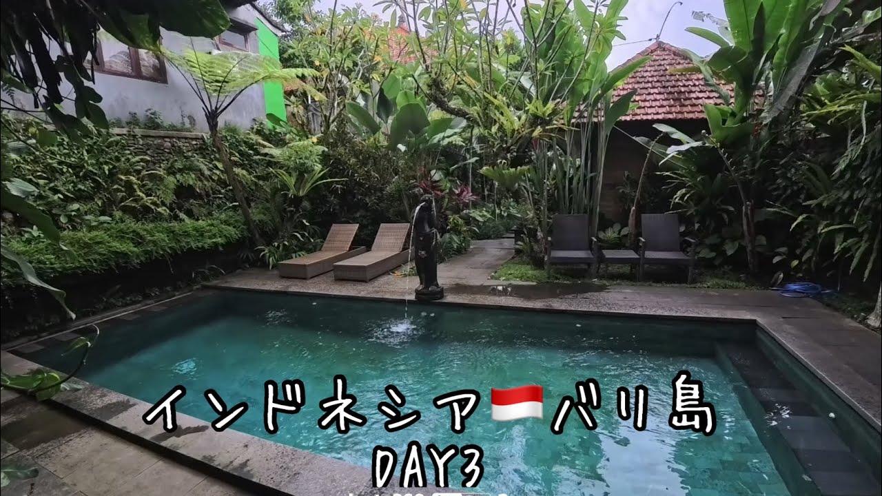 インドネシア🇮🇩バリ島 DAY3 - YouTube