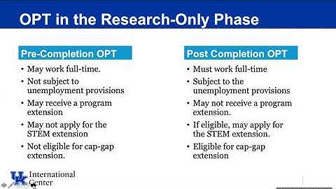 OPT Training: The Basics
