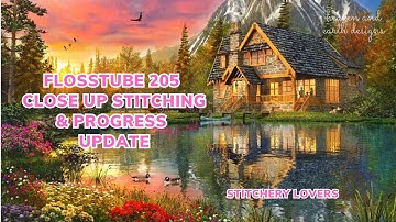 Close-Up Stitching & Progress Update with HAED The Mountain Cabin | FLOSSTUBE #205 #stitchwithme