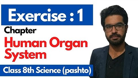 Exe # 1 Human Organ System | Class 8th science | Home of biology
