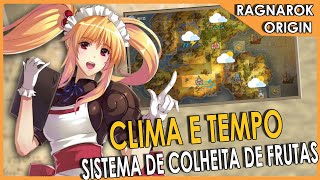 Ragnarok Origin: Tempo, Clima e Colheita de Frutas screenshot 2