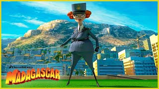 Dubois La Imparable Dreamworks Madagascar En Español Latino