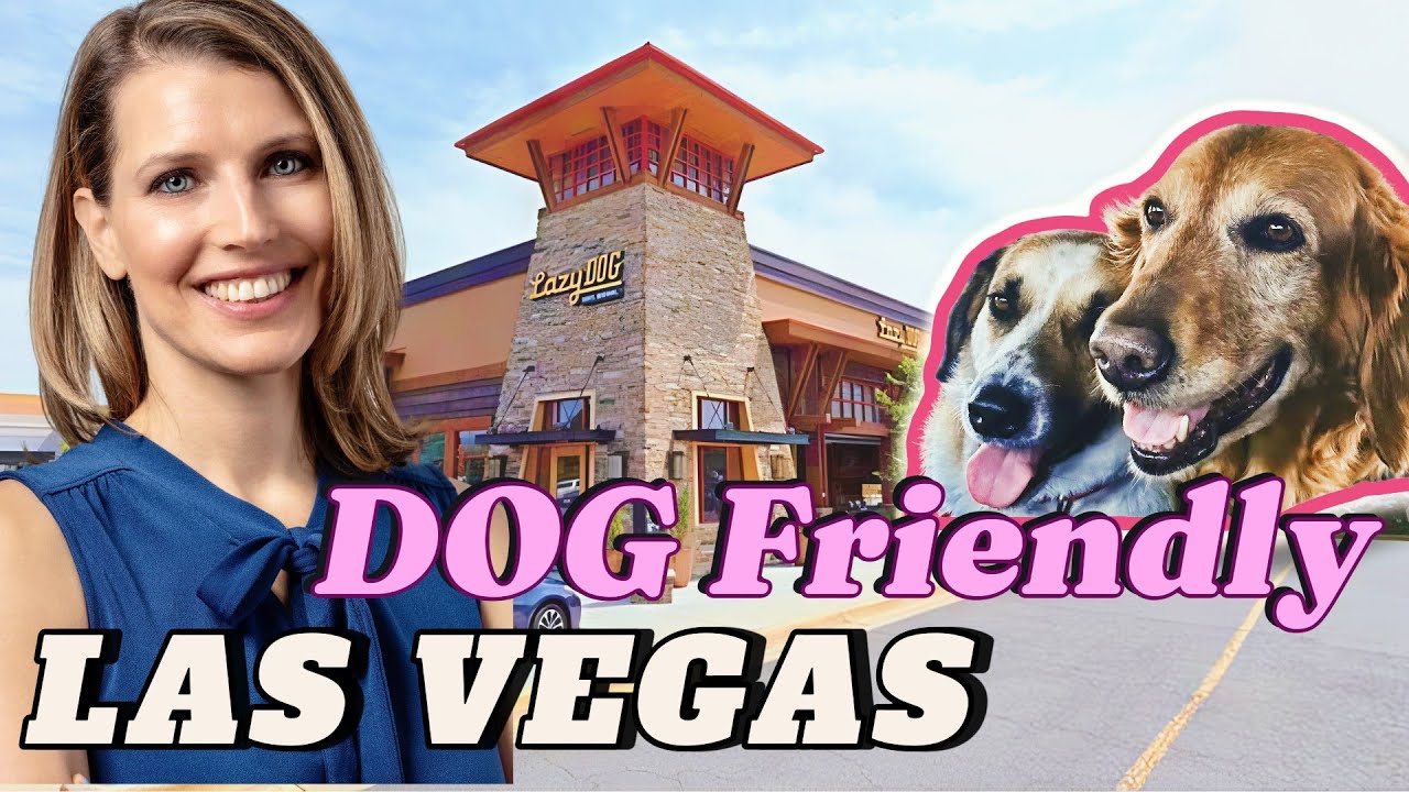 LAZY DOG in Las Vegas is the BEST Dog Restaurant - GAME CHANGER