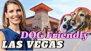 LAZY DOG in Las Vegas is the BEST Dog Restaurant - GAME CHANGER screenshot 2