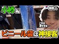 韓国人が日本の接客に感動‼️小樽の観光をしてきました!【Ep,2 小樽編】