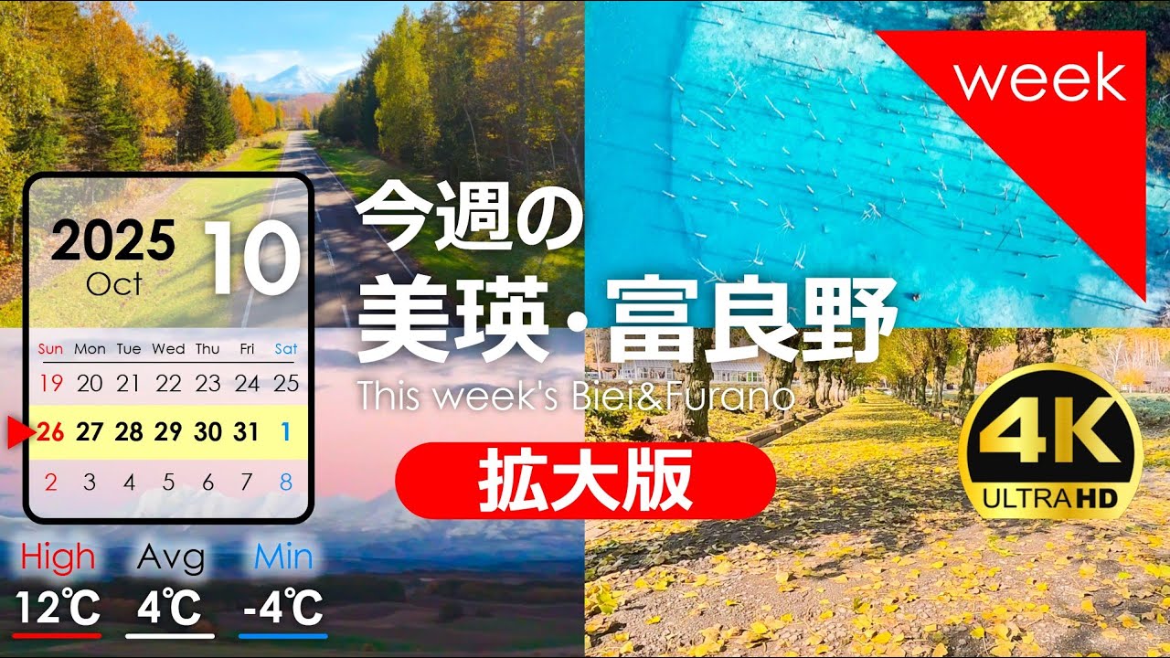 【今週の美瑛・富良野】幻の美しい道！2025年10月第❹週｜日本一美しい道出現！晩秋の青い池を空撮！北海道アーカイブ
