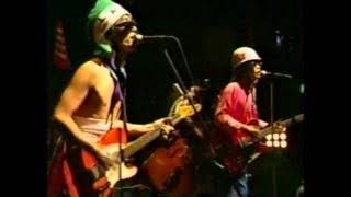 「 トルエン 」 THE TIMERS