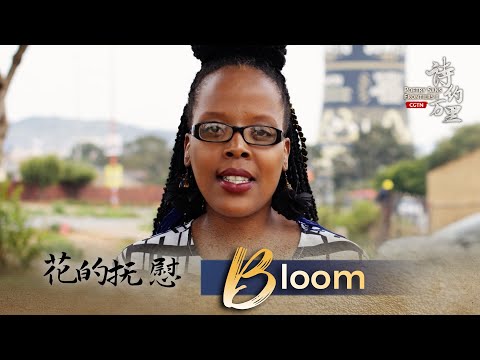 'read a poem': south african poet mandi vundla reads bloom to you