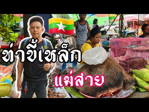 สถาน ที่ เที่ยว พม่า  2022 Update  เที่ยวพม่าในหนึ่งวัน🇲🇲 #เดินตลาดท่าขี้เหล็กตลาดสดตอนเย็นที่ผมยังไม่เคยไป