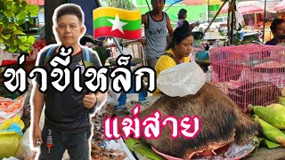 เที่ยวพม่าในหนึ่งวัน🇲🇲 #เดินตลาดท่าขี้เหล็กตลาดสดตอนเย็นที่ผมยังไม่เคยไป