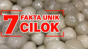 FAKTA UNIK DAN MENARIK MAKANAN CILOK KHAS SUNDA
