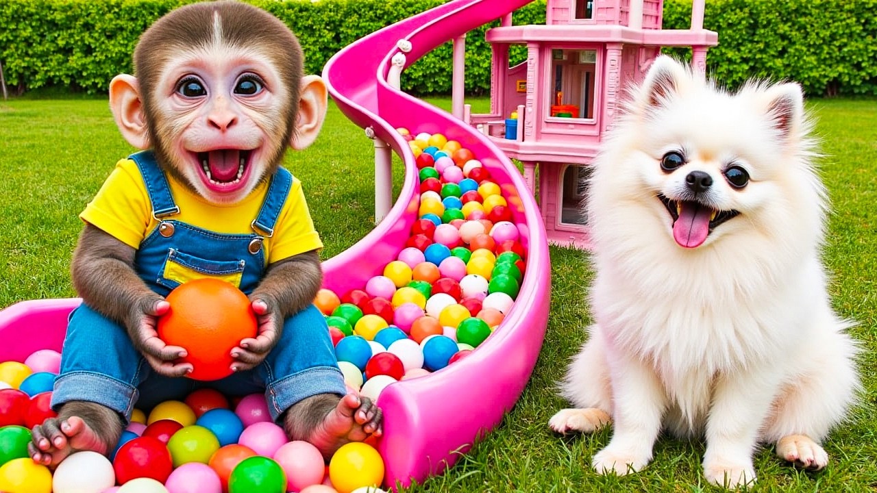 Bebé Mono BiBi Disfruta un Tobogán de Bolas de Colores con un Perrito Adorable - MONO BIBI ESP
