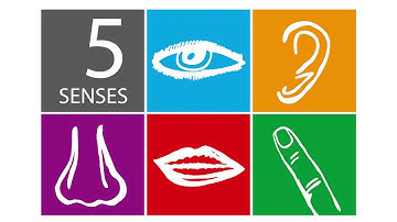 How does the mind function?| QA Series on Mind | Chaitanya Charan