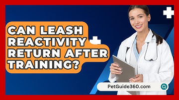 Can Leash Reactivity Return After Training? - PetGuide360.com