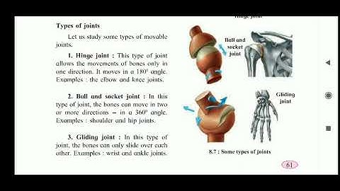 Std 6. General science. Chapter-8. Our Skeletal System and the skin (Part - 2).