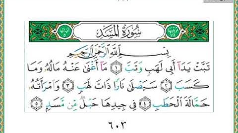 سورة المسد 111 سعد الغامدي