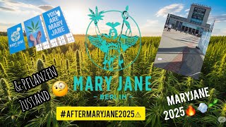 MARYJANE BERLIN 2025⚠️🔥 | PFLANZEN🌱| THEHOOKAHGROW #MARYJANEBERLIN2025