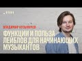 Функции и польза лейблов для начинающих музыкантов // Владимир Кузьмичев