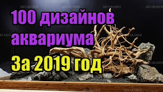 100 вариантов дизайна аквариума. Хардскейпы за 2019 от Дмитрия Мамина