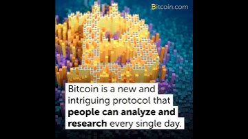 A Glimpse at Six Unique Cryptocurrency Visualization Websites