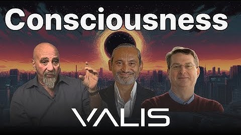 Consciousness Q&A: Space-Aged Brains, Microtubules & EEG Triplets | Tagg • Hameroff • Khanna