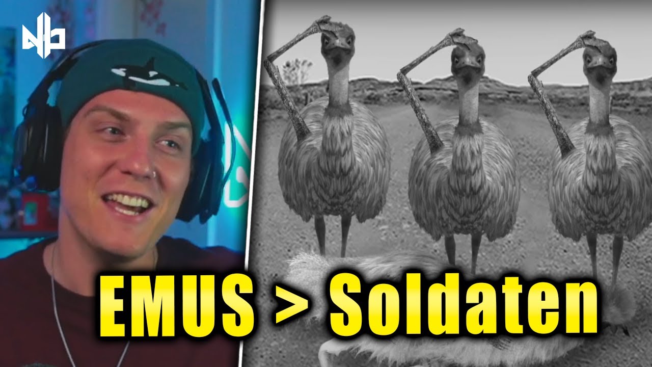 Mensch vs. Biest von @Jules1 😂 | Niek Reaction