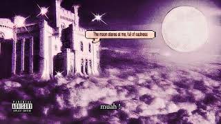 Lusiinhuu - Moon Echo ( official lyric video)