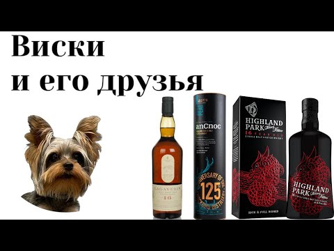 Youtube-канал Виски и его друзья