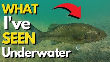 This CHANGED the Way I Fish a Drop Shot