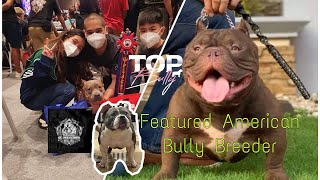 American Bully Breeder Profile | AE BULLIES | Mr.TOPBULLY